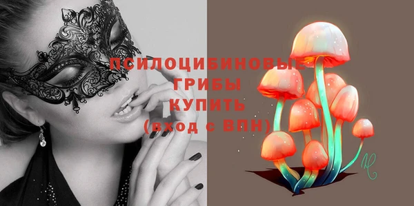 mdpv Киреевск