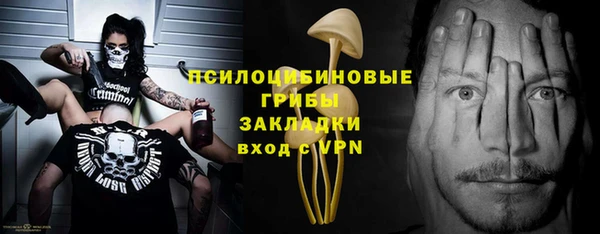 mdpv Киреевск