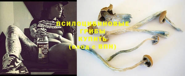 mdpv Киреевск