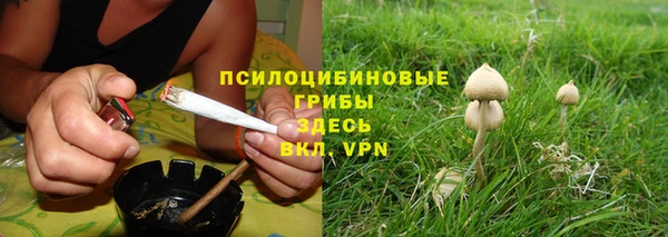 mdpv Киреевск