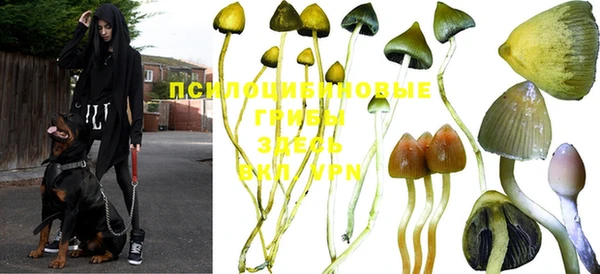 mdpv Киреевск