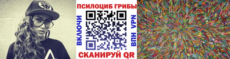 Купить  Дудинка  Галлюциногенные грибы GOLDEN TEACHER 